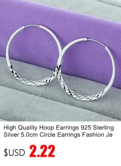 Fine Jewelry 925 Sterling Silver Earrings