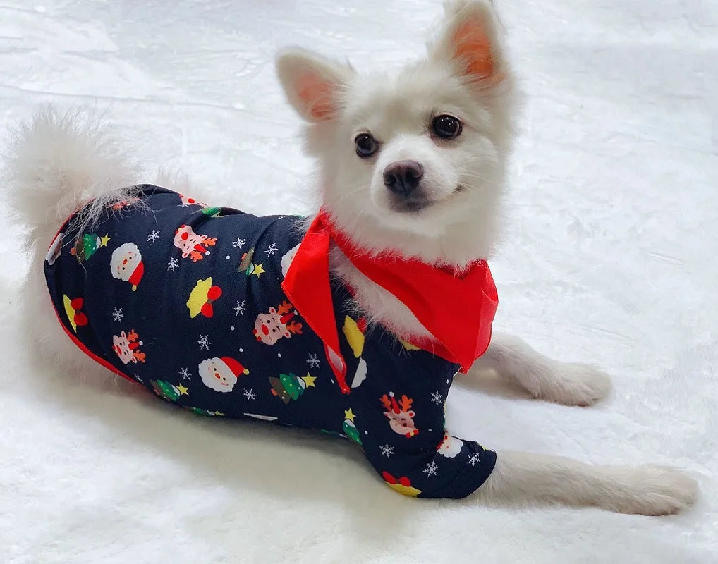 Christmas Family Matching Pajamas